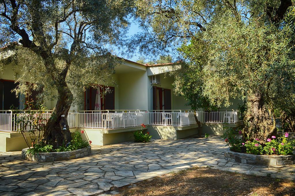 Guesthouse Irene Afissos Exterior photo